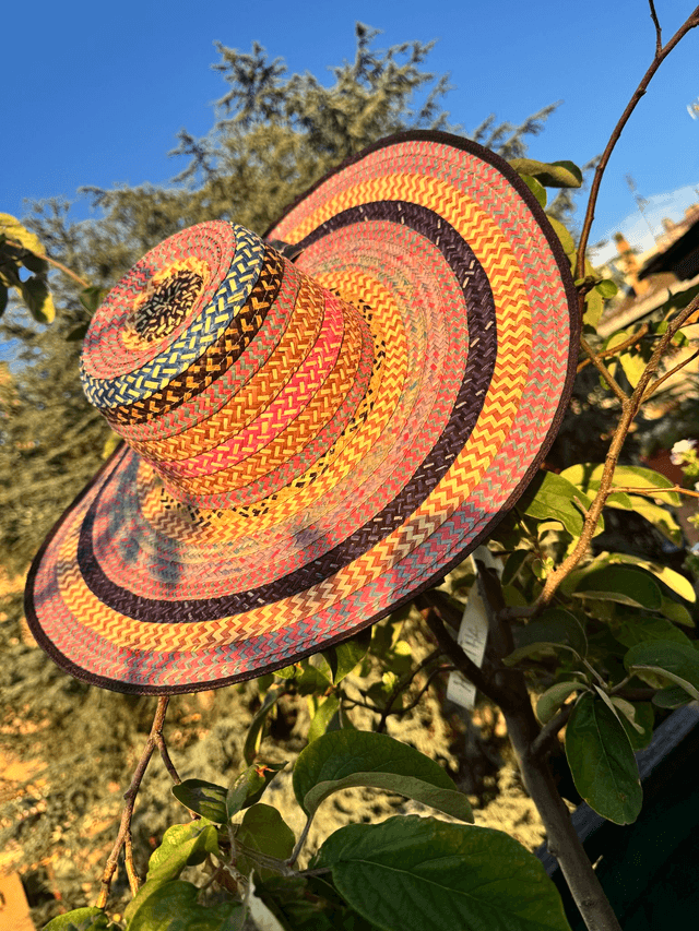 Sombrero Vueltiao Cattleya